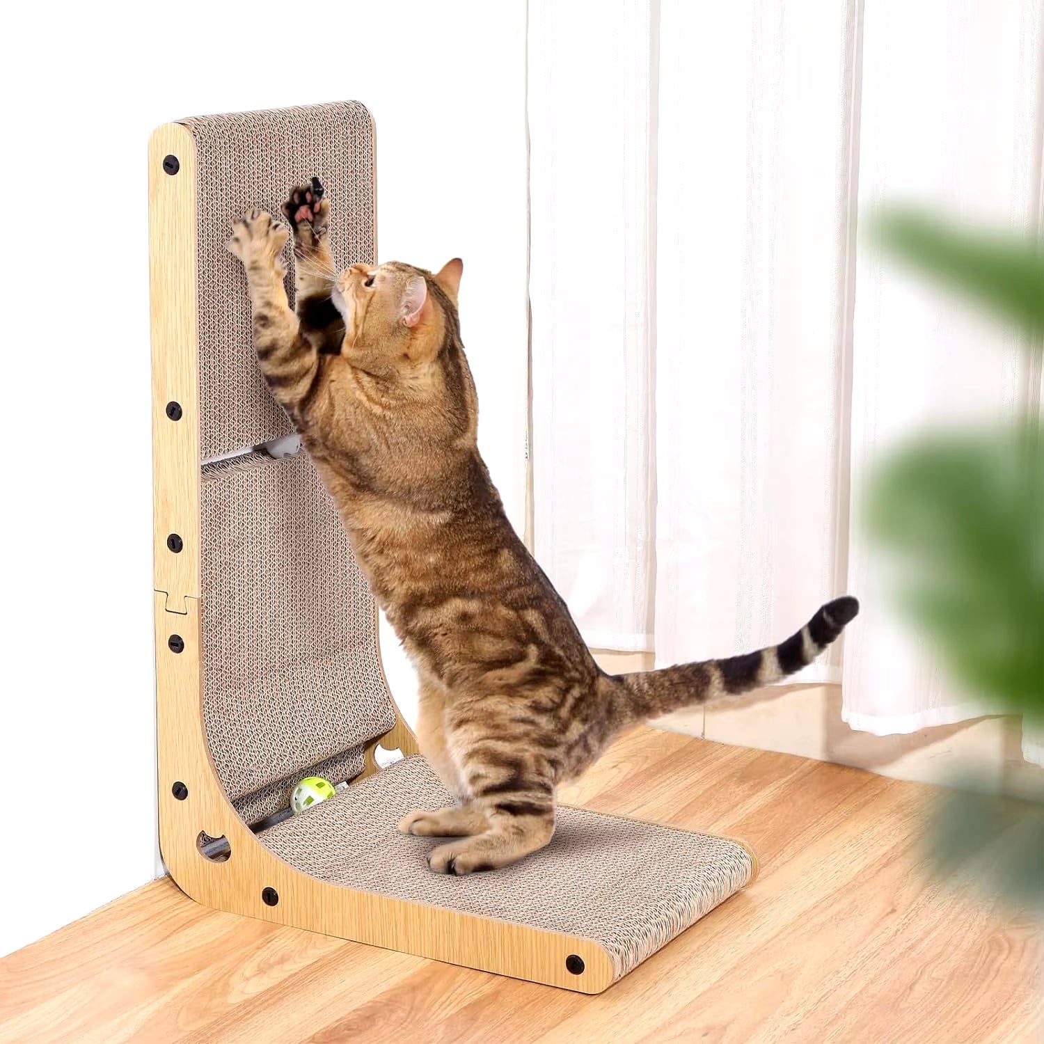 Pet Accessories