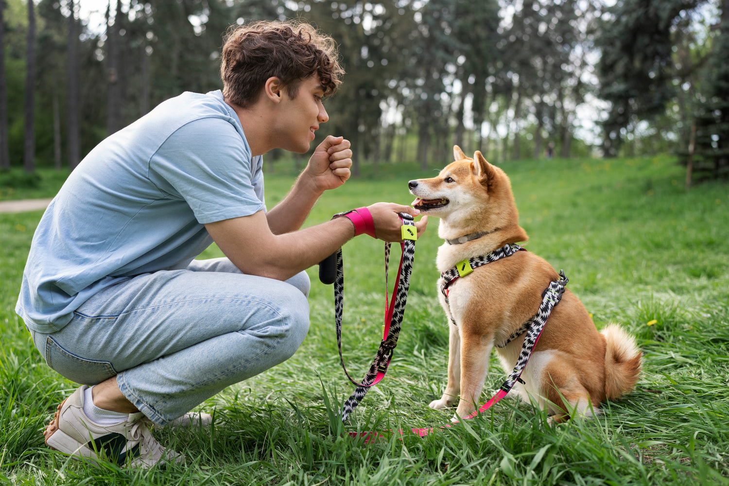Training & Behavior