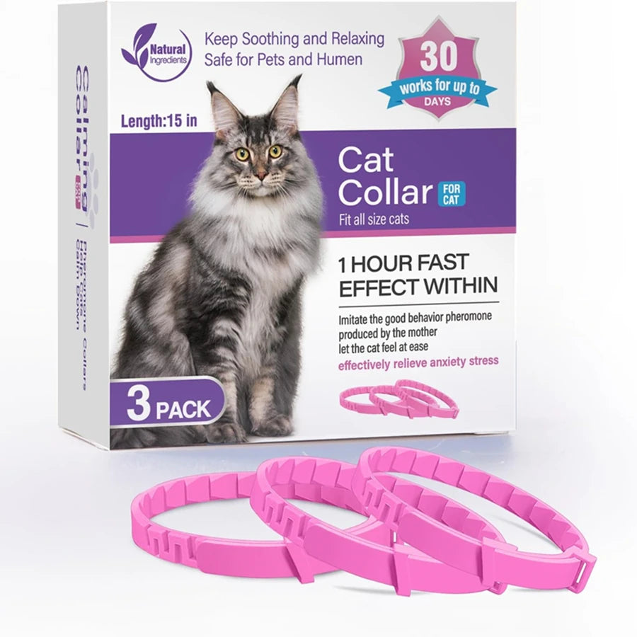 Pet Fashion