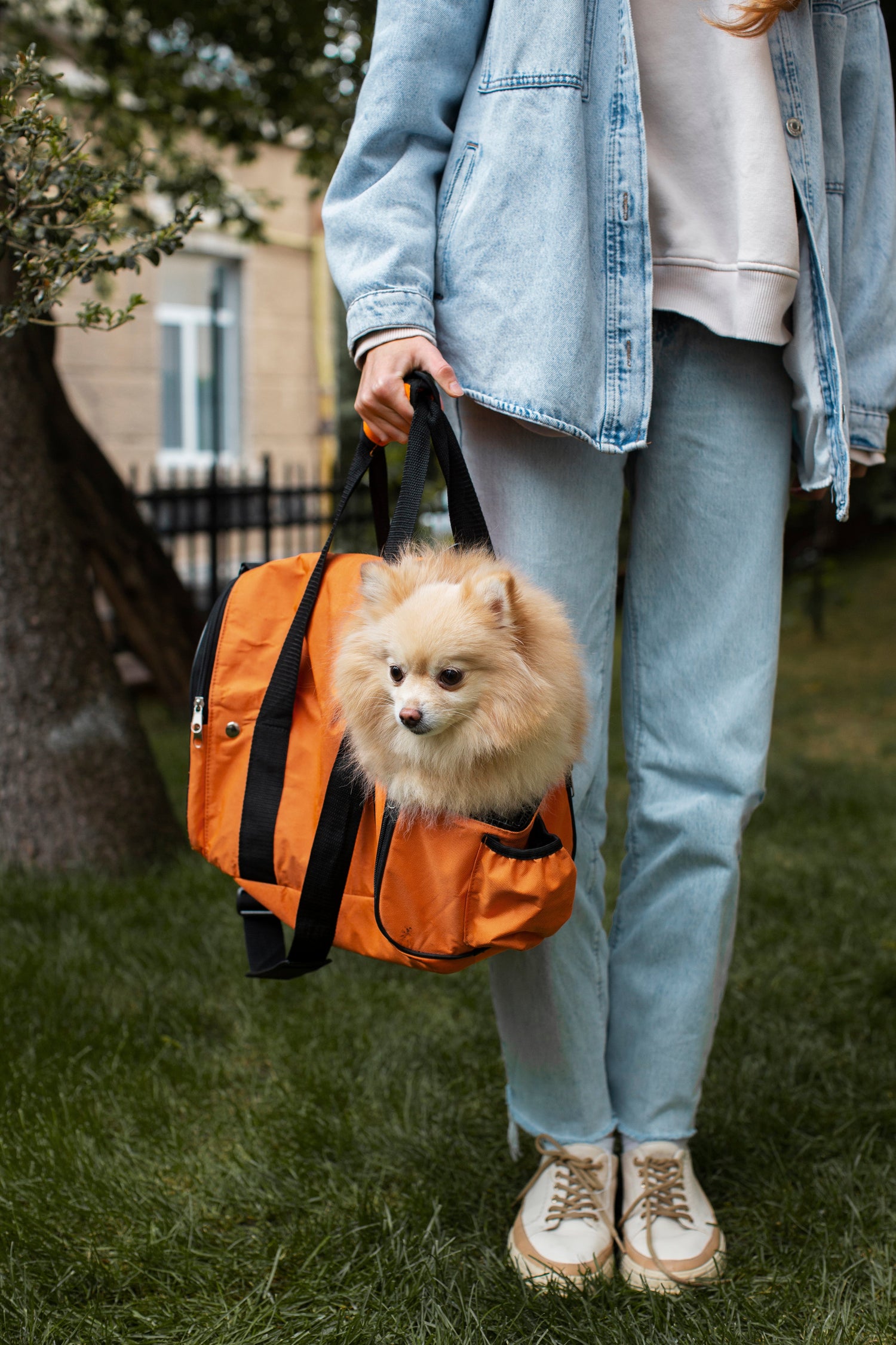 Pet Carry Bags