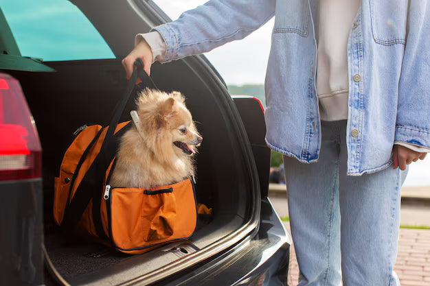 Pet Care