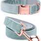Dog Collar and Leash, Velvet Dog Collar and Leash Set, Soft & Comfy, Adjustable Collars for Dogs