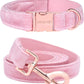 Dog Collar and Leash, Velvet Dog Collar and Leash Set, Soft & Comfy, Adjustable Collars for Dogs