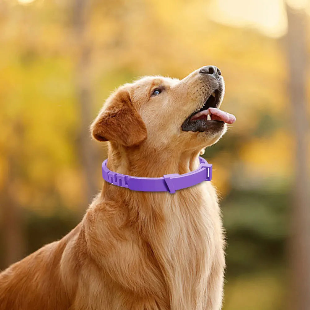 3/4Pcs Cats Dogs Calming Pheromone Collars Pets Relieve Anxiety Adjustable Natural Calm Relax Soothing Collars for Puppy Kitten