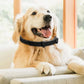 3/4Pcs Cats Dogs Calming Pheromone Collars Pets Relieve Anxiety Adjustable Natural Calm Relax Soothing Collars for Puppy Kitten