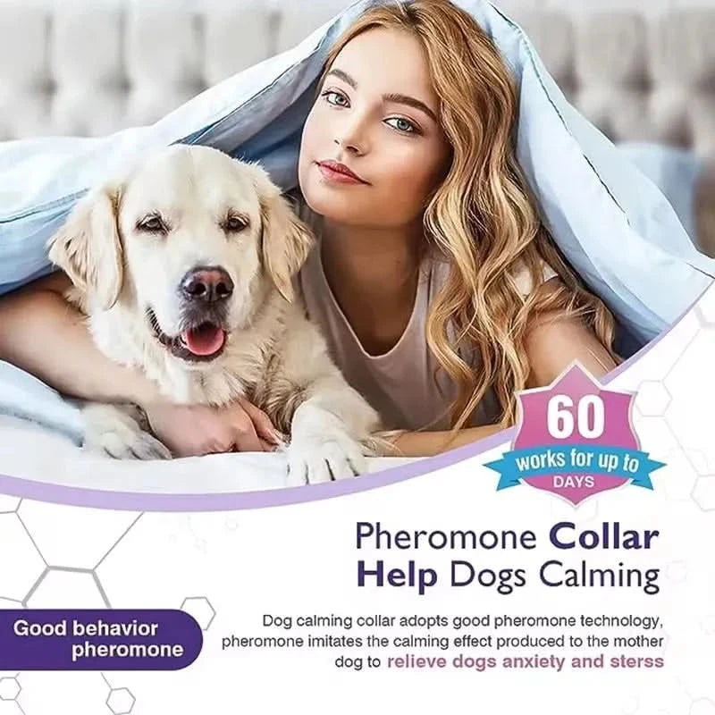 3/4 Pc Dogs Calming Pheromone Collars Cats Relieve Anxiety Adjustable Comfortable Collar for Puppy Kitten Large Pets Accessories