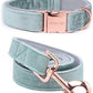 Dog Collar and Leash, Velvet Dog Collar and Leash Set, Soft & Comfy, Adjustable Collars for Dogs
