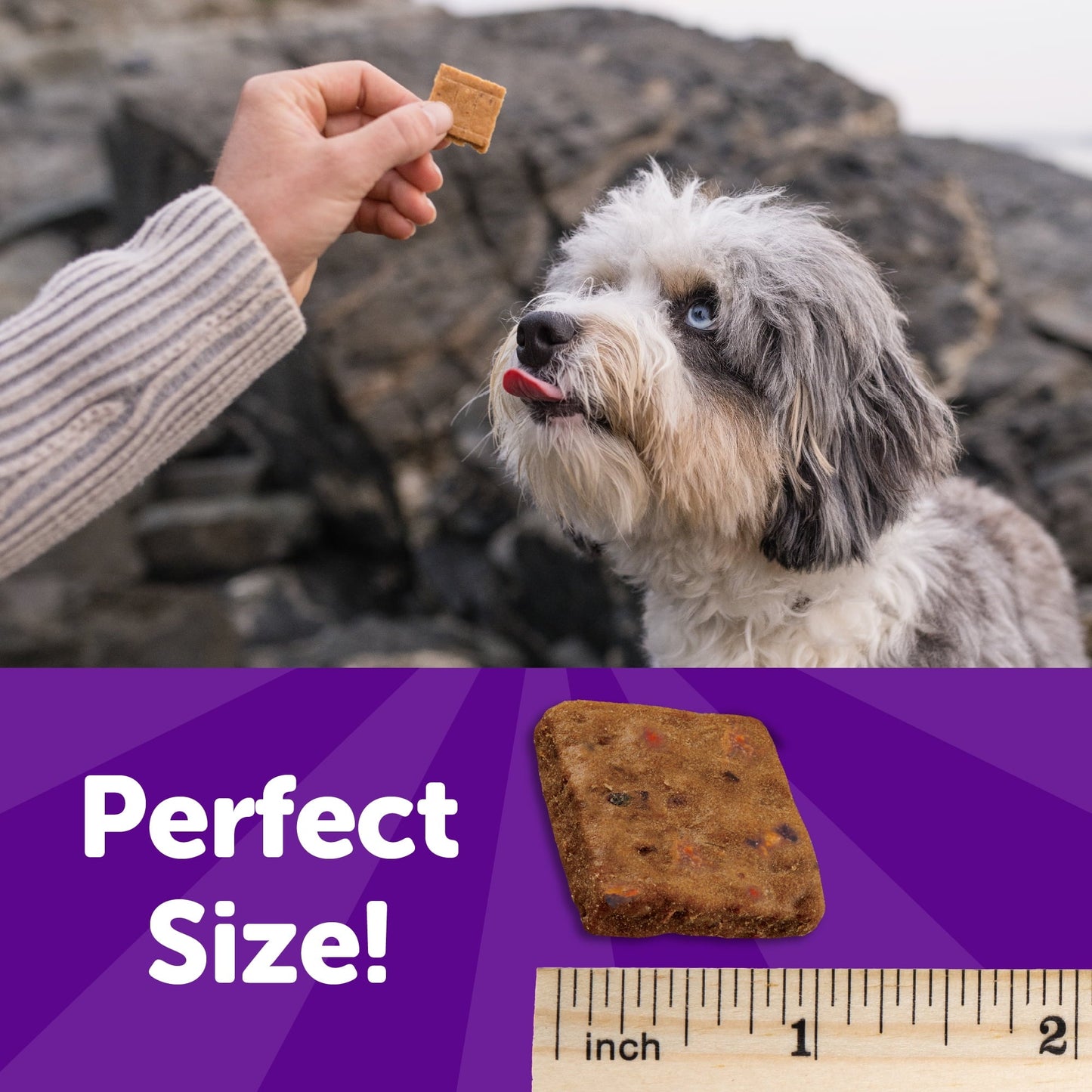 Rewarding Life Dog Treats, Natural, Training Treat, Grain Free, Soft Beef & Turkey (6 Ounce Bag)